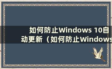 如何防止Windows 10自动更新（如何防止Windows 10系统自动更新）